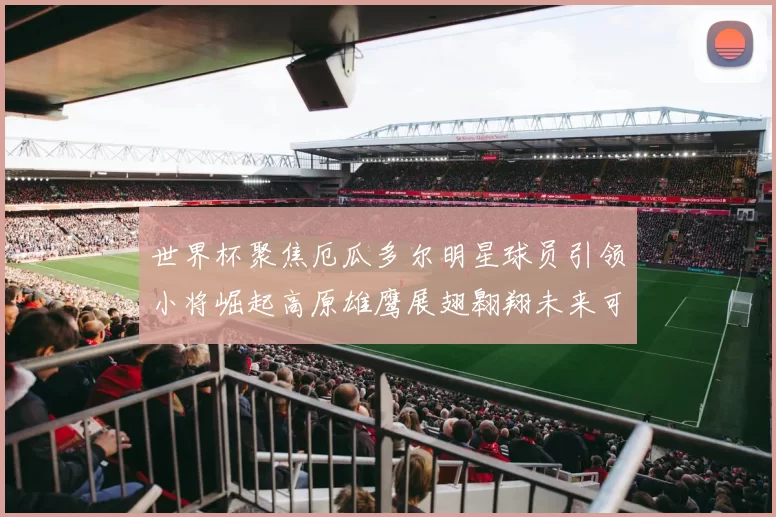 世界杯聚焦厄瓜多尔明星球员引领小将崛起高原雄鹰展翅翱翔未来可期