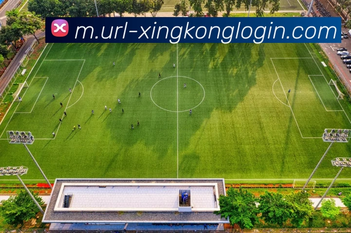 数据防护可视化